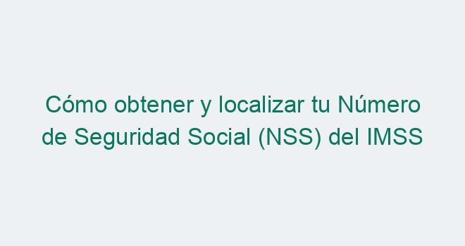 C Mo Obtener Y Localizar Tu N Mero De Seguridad Social Nss Del Imss