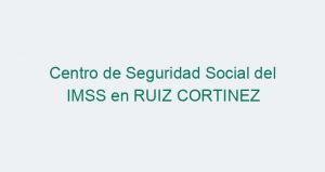 Centro de Seguridad Social del IMSS en RUIZ CORTINEZ