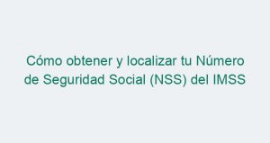 Cómo obtener y localizar tu Número de Seguridad Social (NSS) del IMSS