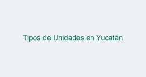 Tipos de Unidades en Yucatán